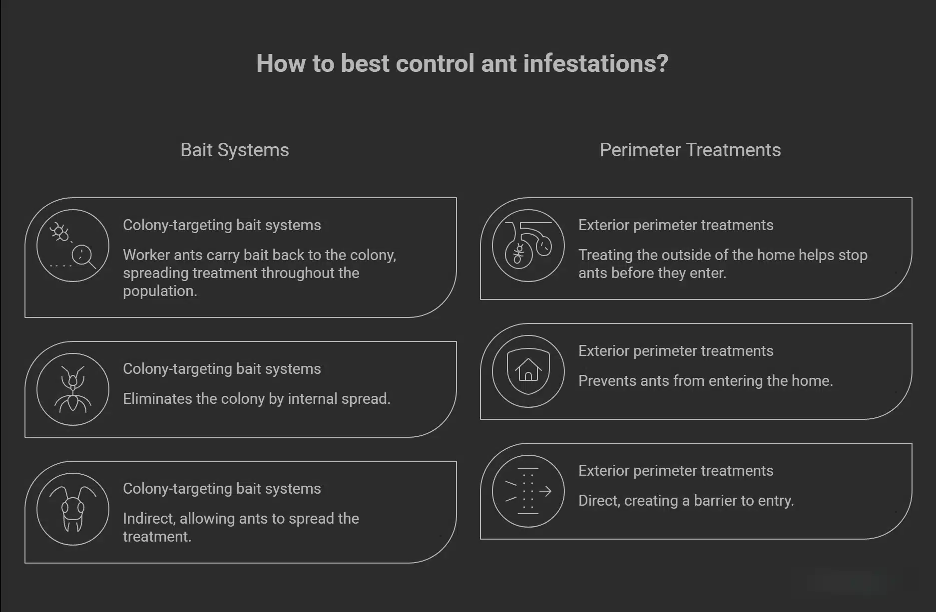 What Actually Works for Ant Control visual selection 1