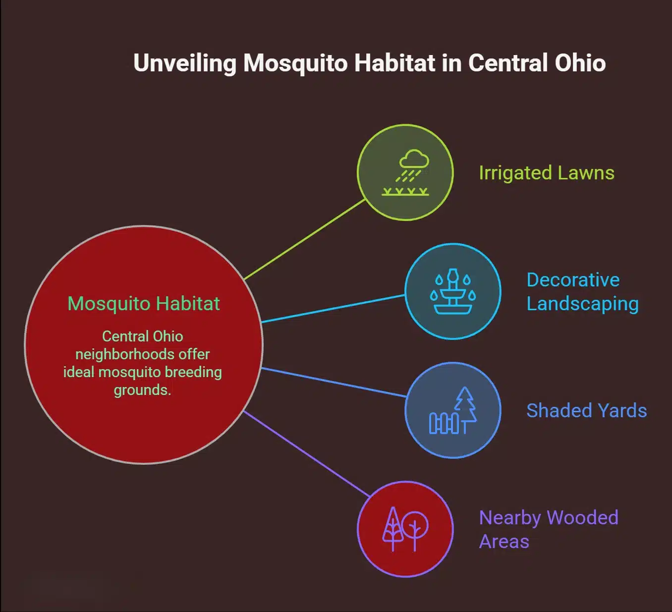 Why Suburban Yards Attract Mosquitoes visual selection