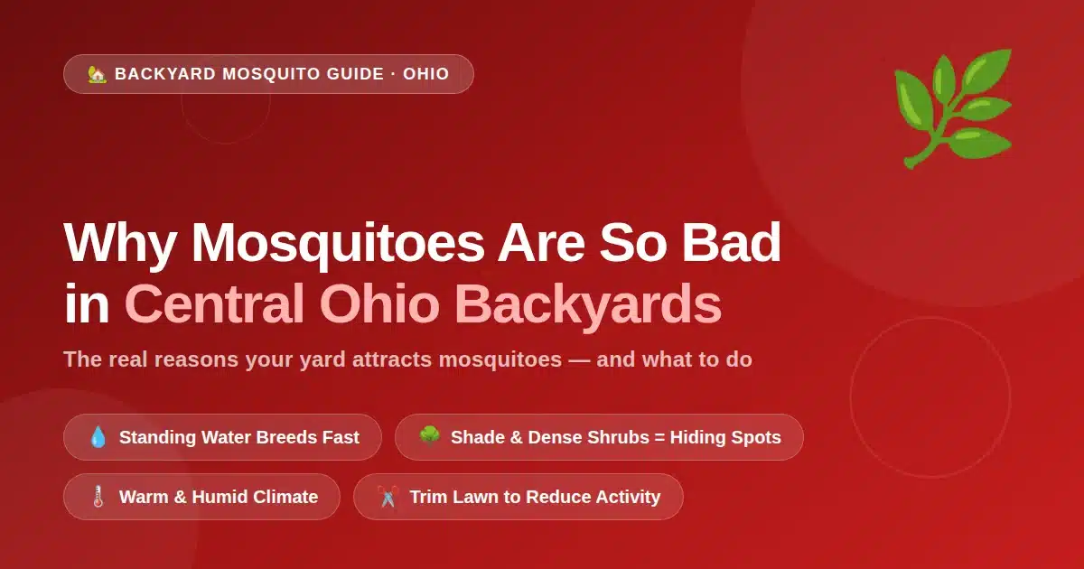 Mosquitoes Ohio Backyards