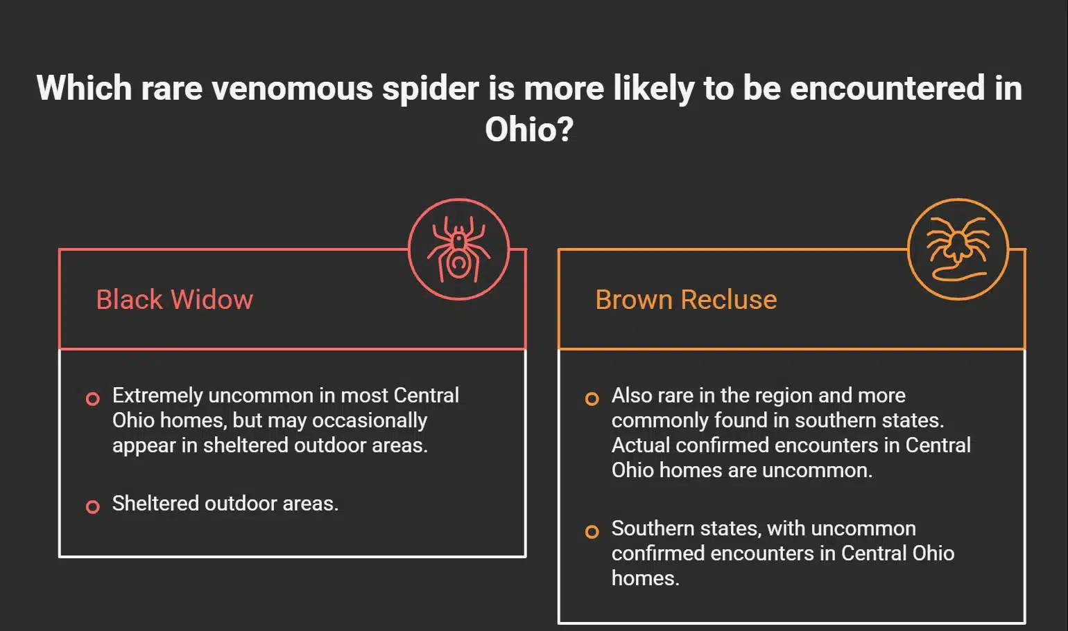 Rare Venomous Spiders in Ohio visual selection