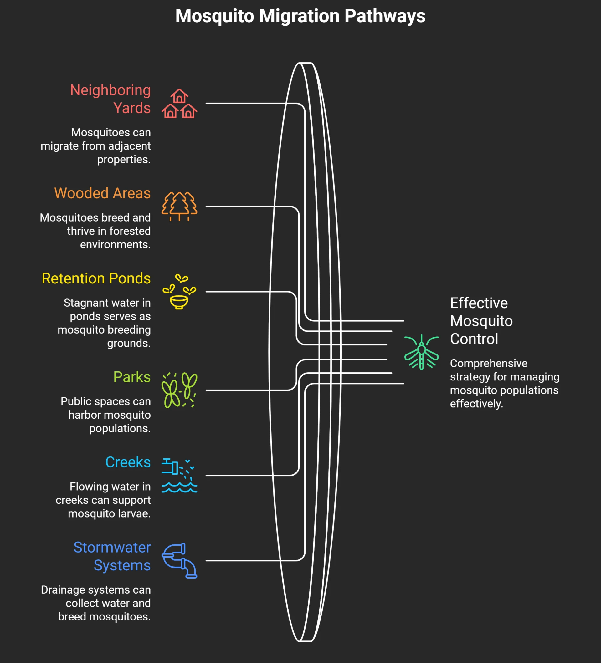 Why Mosquitoes Keep Coming Back visual selection