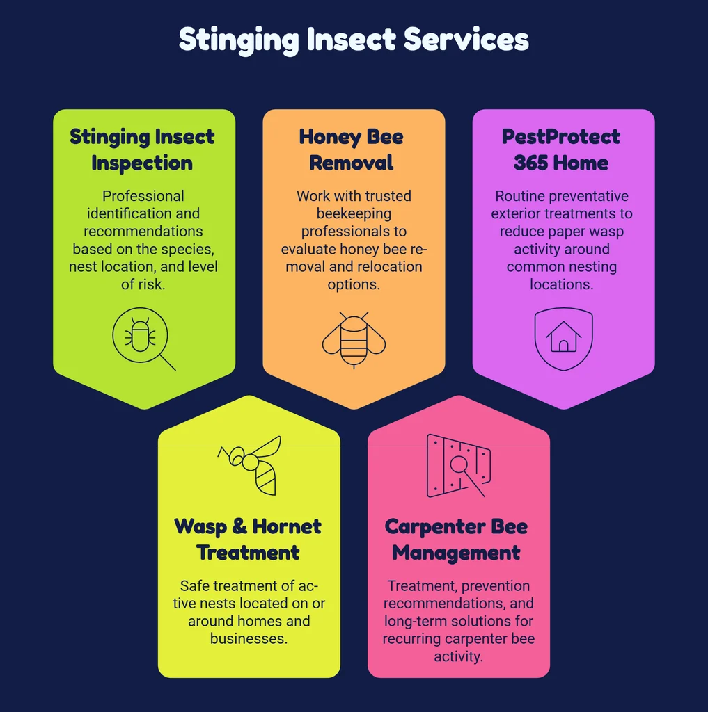 Professional Stinging Insect Services visual selection