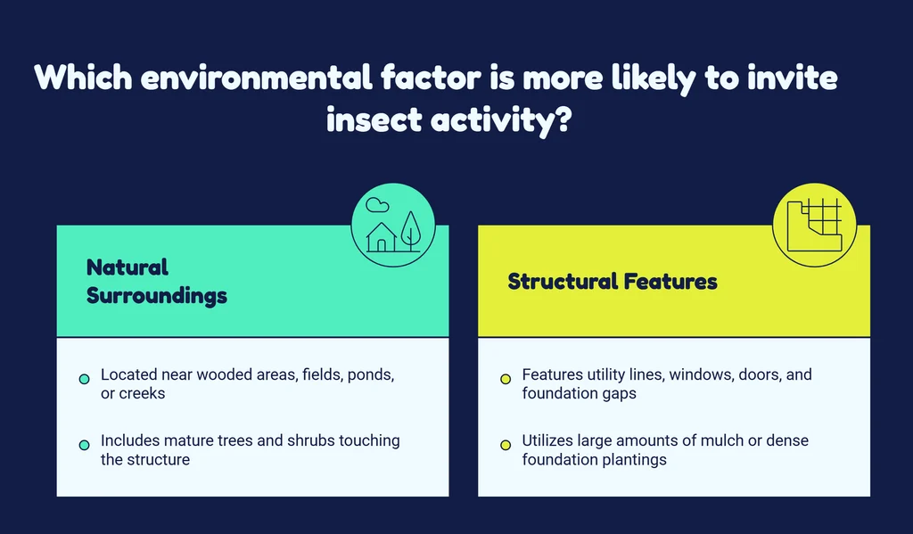 Why Do Some Homes Experience More Occasional Invaders Than Others visual selection